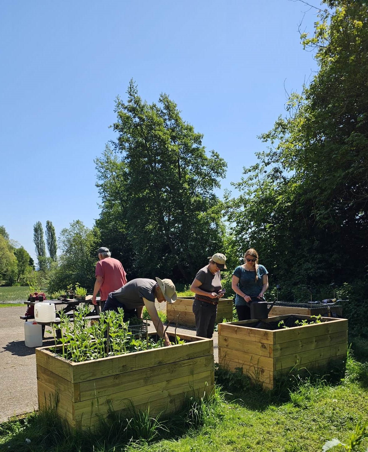 Raised Beds