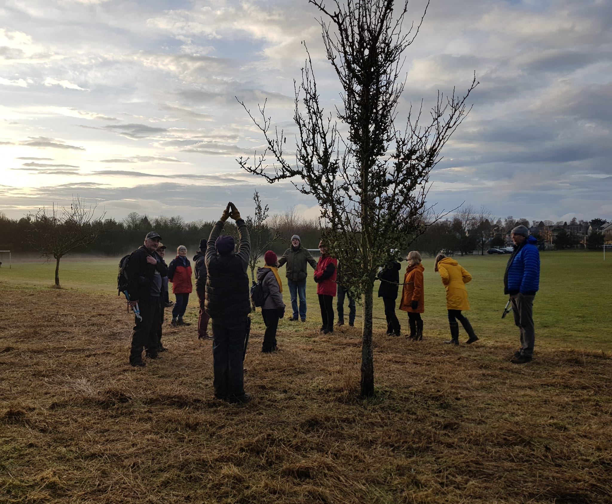 Tree Pruning